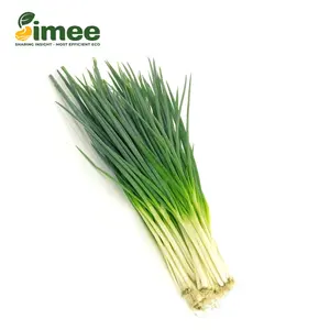 Hành Lá VietGAP - Spring Onion (100g) - SIMEE